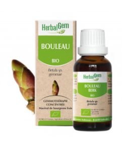 Bouleau (Betula) bourgeon BIO, 50 ml